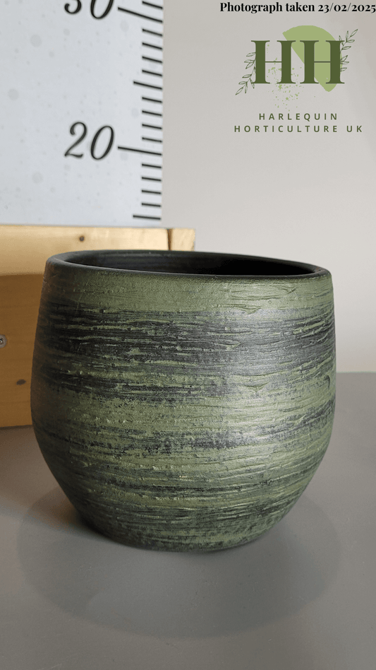 Coming soon.   Indoor pots in various sizes.