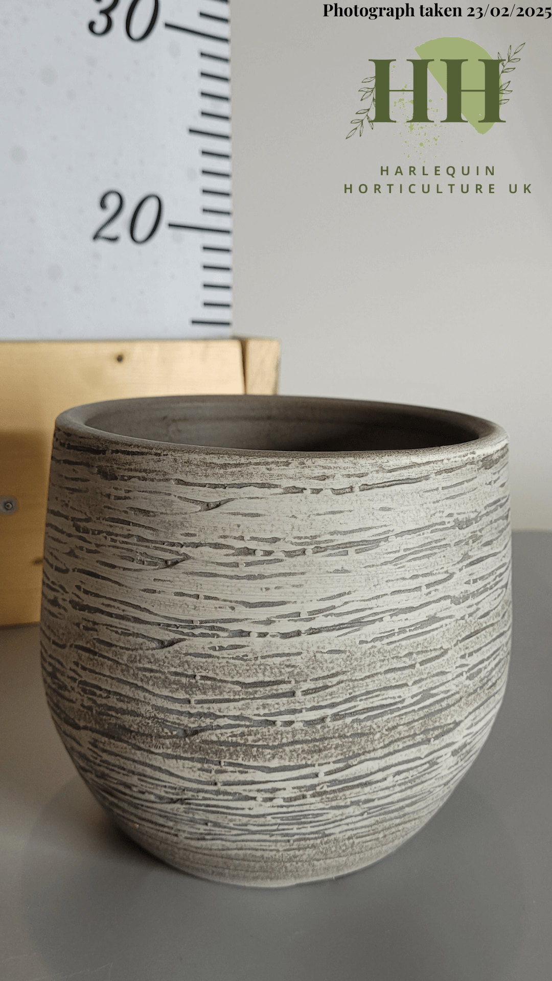 Coming soon.   Indoor pots in various sizes.